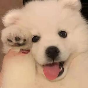 潘金莲与西门庆做爱的黄片
